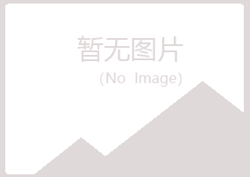 岐山县歪斜能源有限公司